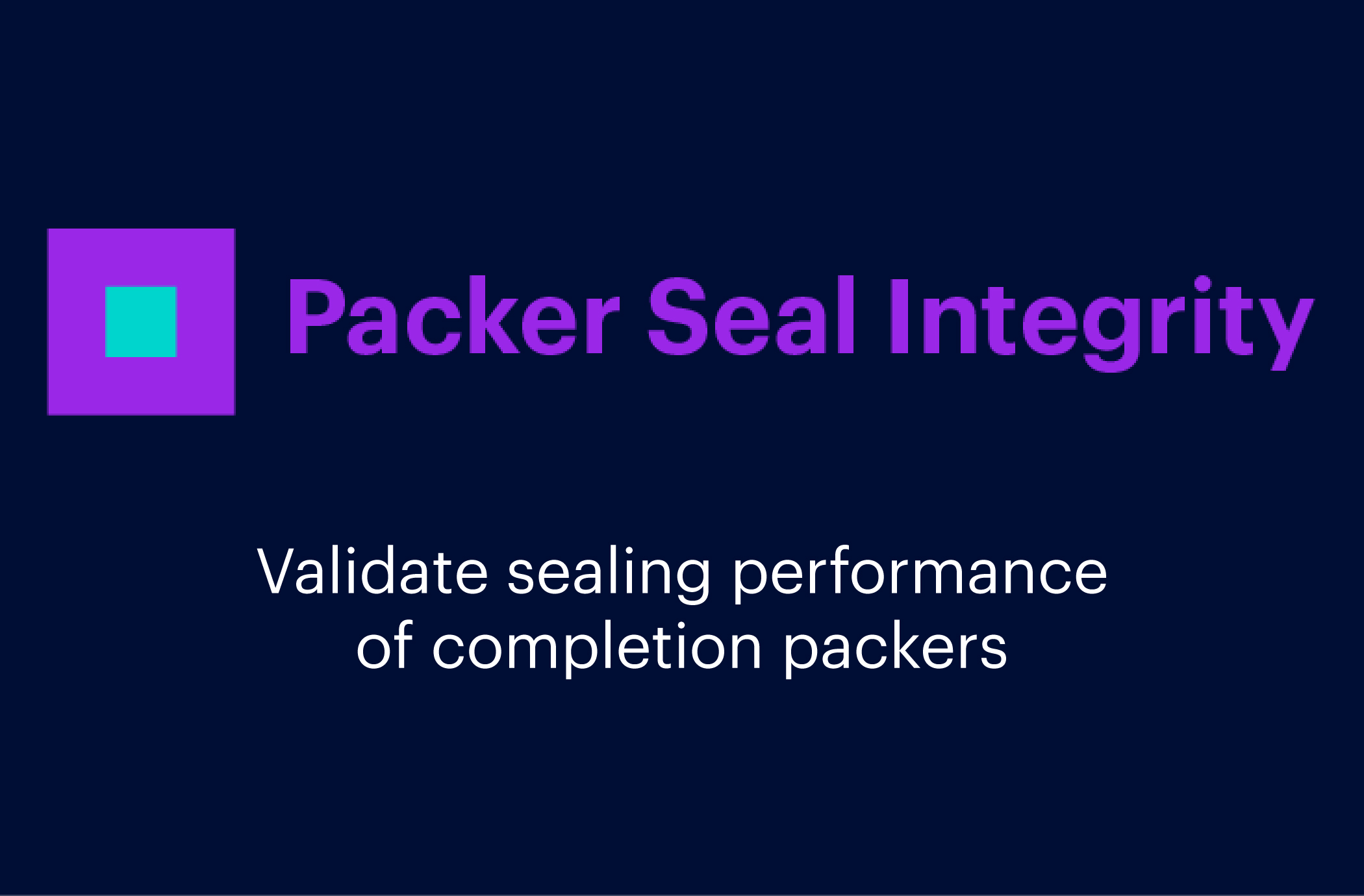 Packer Seal Integrity